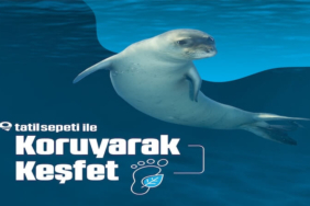 Tatilde Doğayı Koruyarak Keşfedin